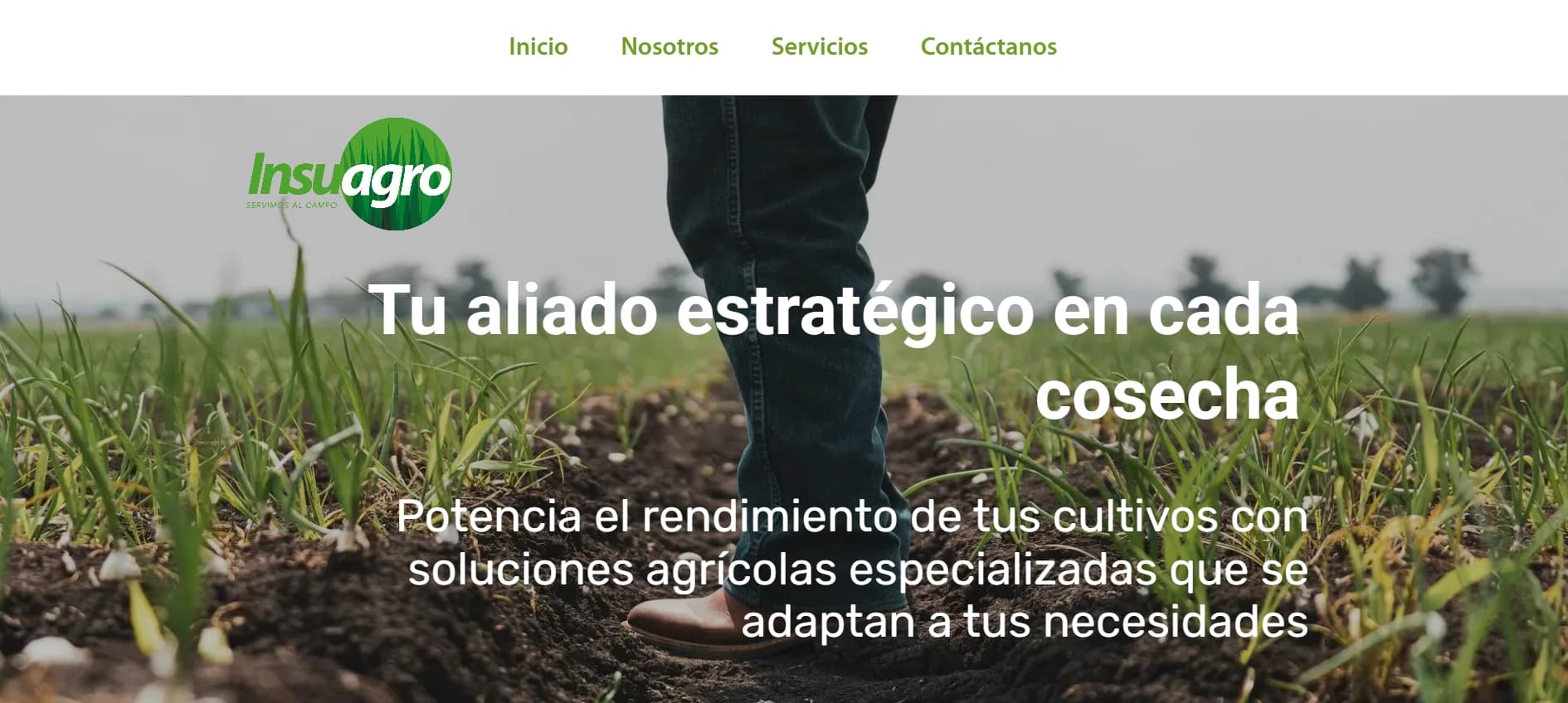 proyecto Insuagro